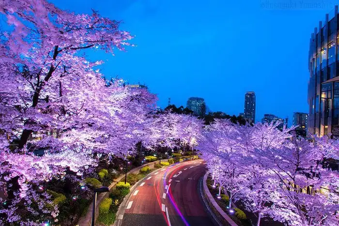 6ca29f5a4ad6462fa7c72aa008f4bef8.jpg.700x0_q85_autocrop_crop-smart_upscale.webp
