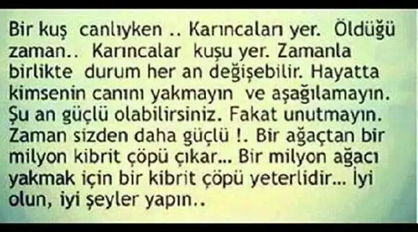 6d772516_o.webp