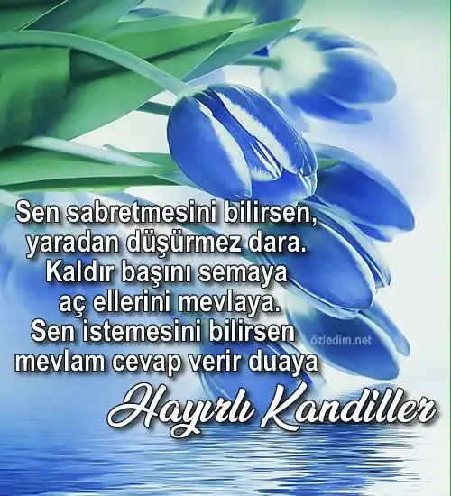 6db693500a9ea7131de72473a1d26658.webp