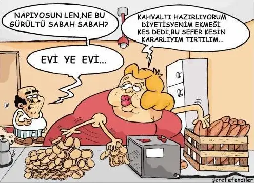 6e81ef08822d56690911a4ddee598302.webp