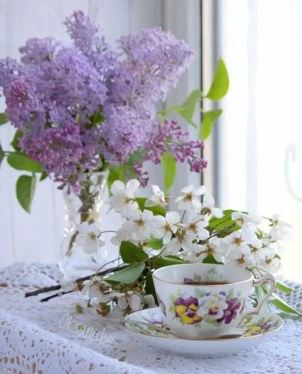 6edd187798ed09de71ba94a922cd3063.webp