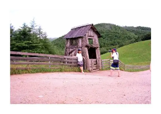 7.webp