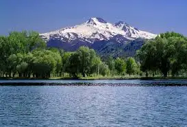 7.webp