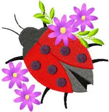 7.webp