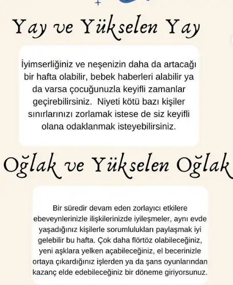7.webp