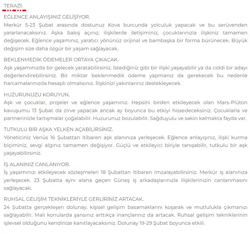 7.webp