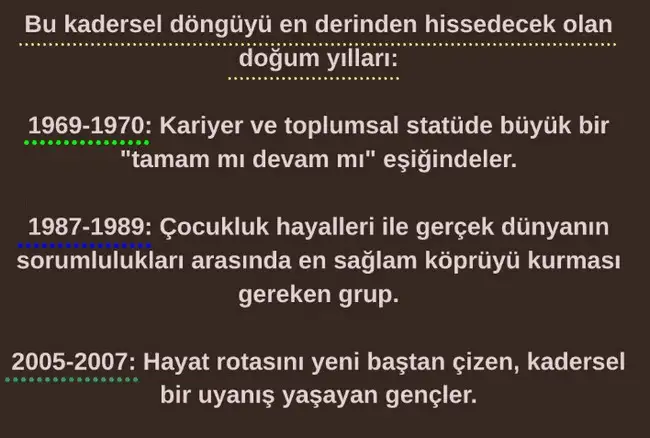 7.webp