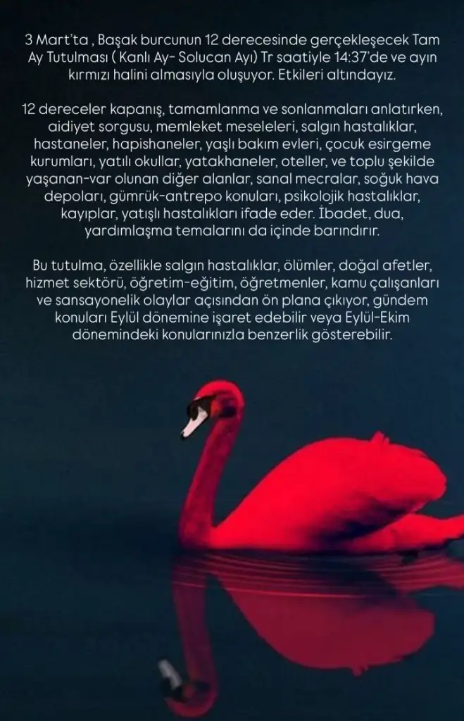 70016.webp