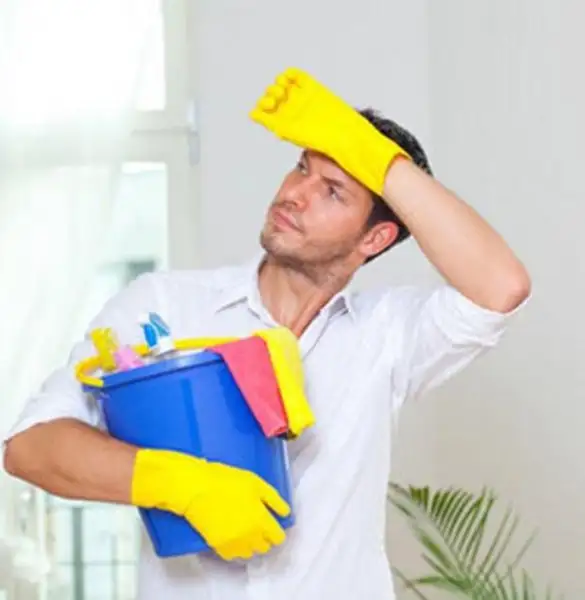 7005659-620x635.webp