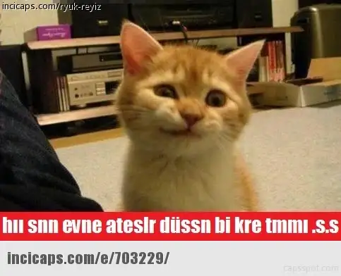 703229.webp
