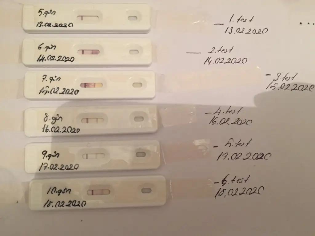7057AF1C-2FDA-4917-8E91-DD273427CF9D.webp