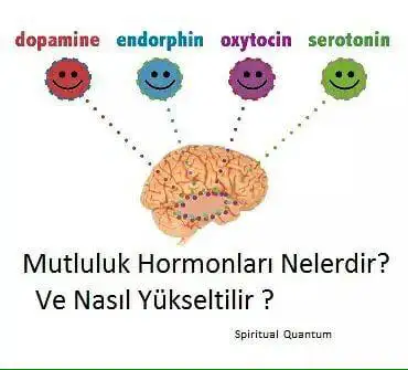 70B3757E-E06E-4A0D-A62D-3618631AEB0A.webp