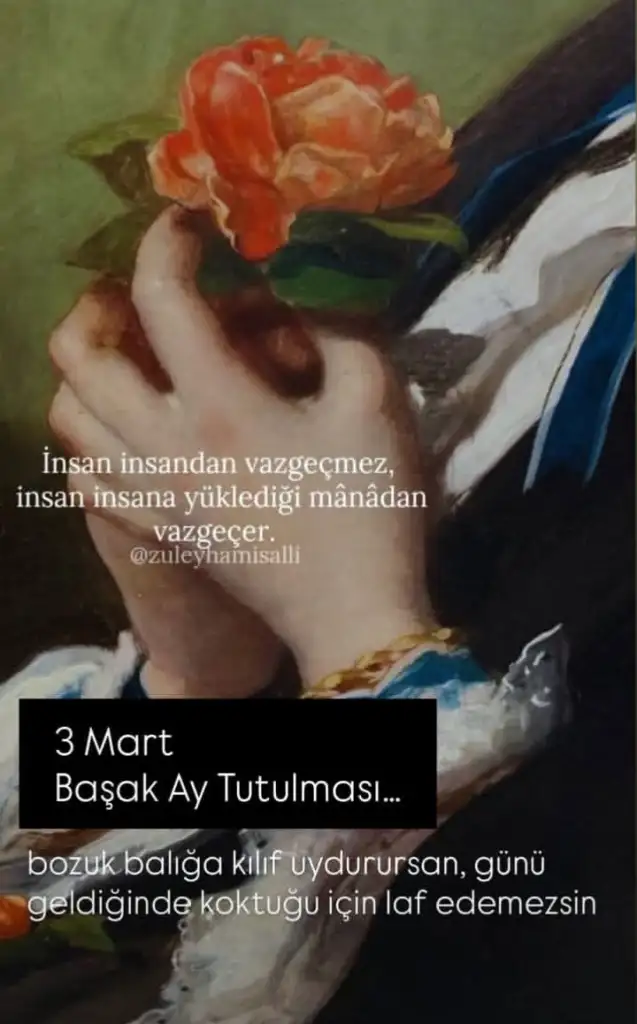 71541.webp