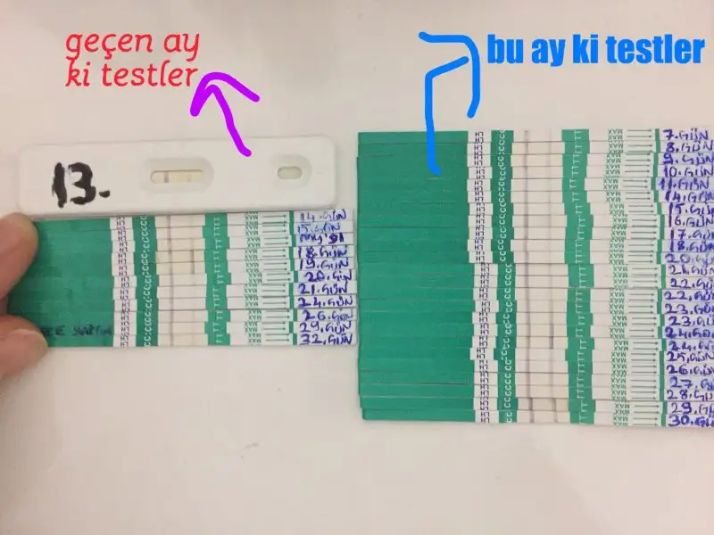 7273AB84-E739-43B6-9CA2-4AEE01476DCF.webp
