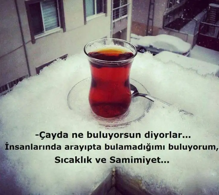 728d5dbfa4a3801c208c1c70213526b9.webp