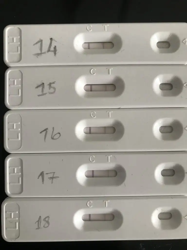 72E3A031-15A5-48CC-B1DB-679B43DBFBD3.jpeg