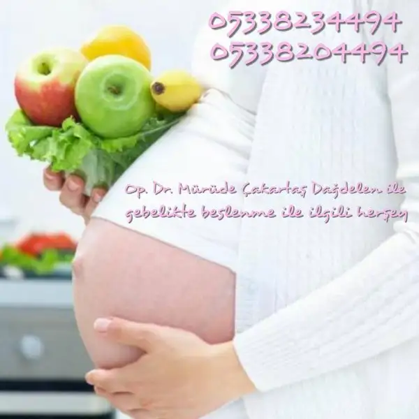 734733_501557933359990_1757315639239069044_n.webp