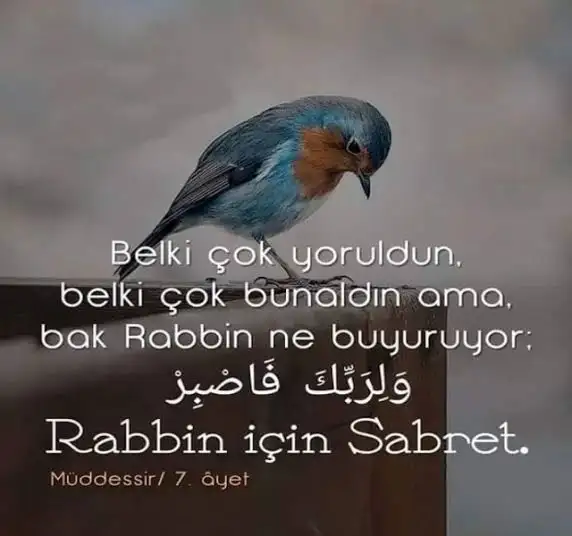 73648705-FA39-4FB3-8E22-8376075C8F66.webp