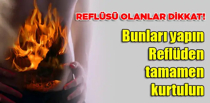 75811.webp