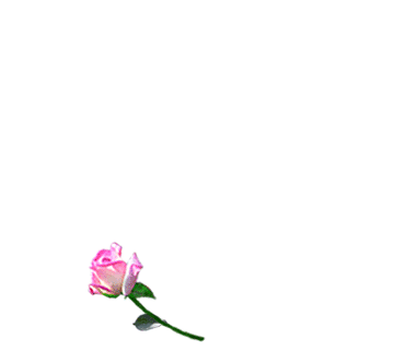 76262253ll[1].gif