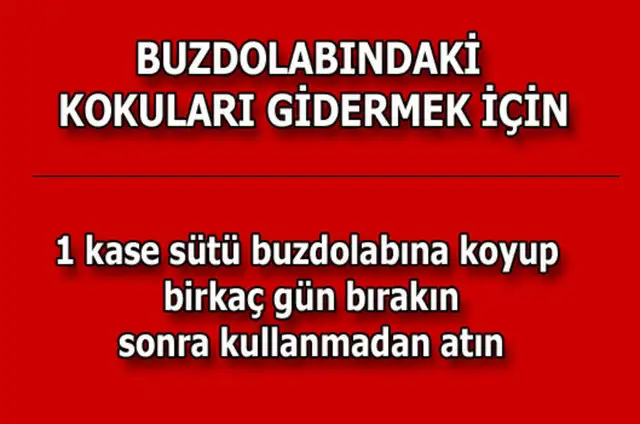 76a8851616c76d3cfac44615941bff0b_k.webp
