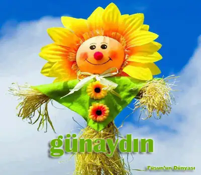 7788.webp