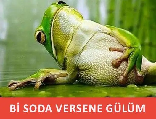 788C6AF0-2922-4872-904F-BE4ACE912163.webp