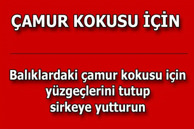 7b26f3a1dd42f1b3d45d7c4187bc4d18_k.webp