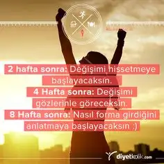 7b606767a7ebc1f832b1cd29206dc799.webp