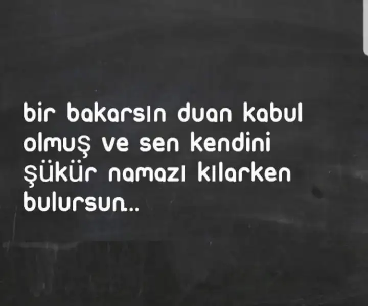 7B8B4823-6EA0-4F3B-A214-34F658CE7538.webp