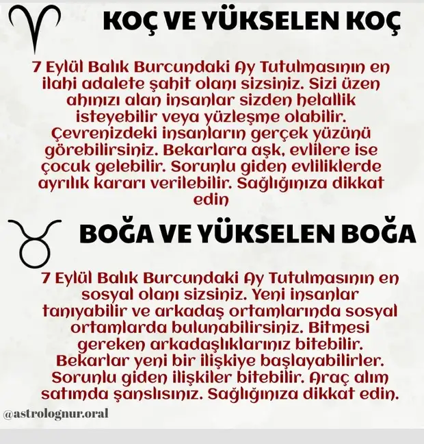 7bal 1 (2).webp