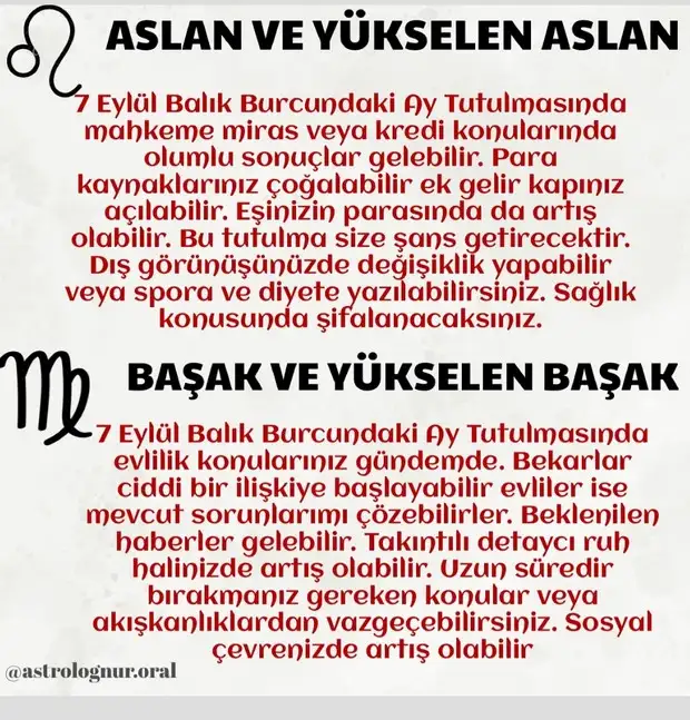 7bal 1 (4).webp