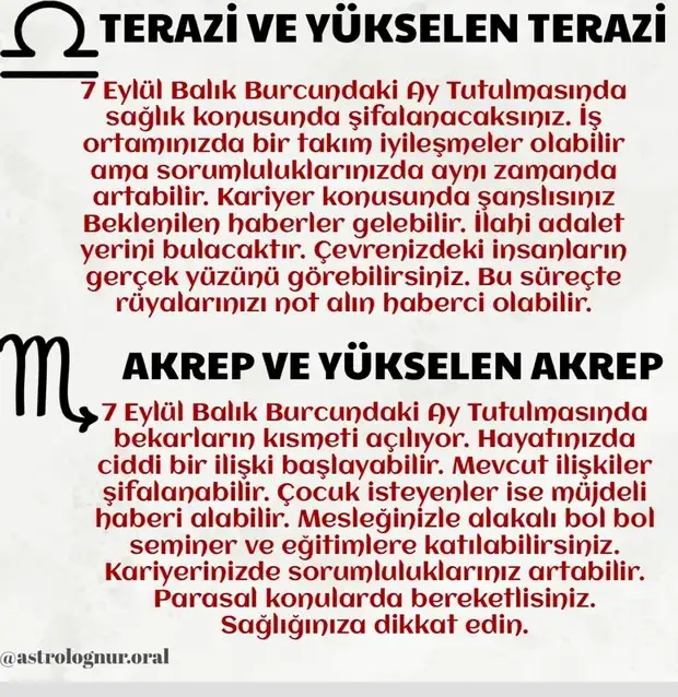 7bal 1 (5).webp