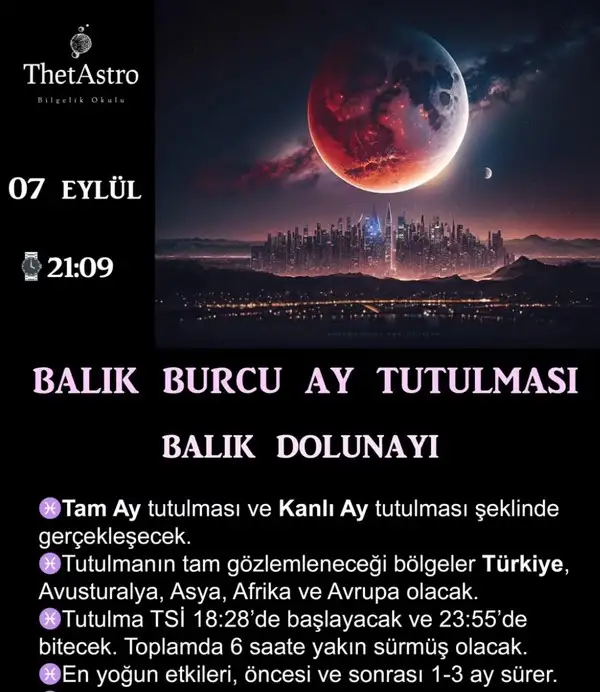 7bal 2 (1).webp
