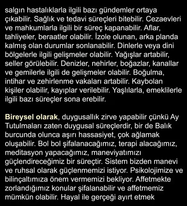 7bal 2 (4).webp