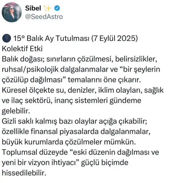 7bal 3 (1).webp