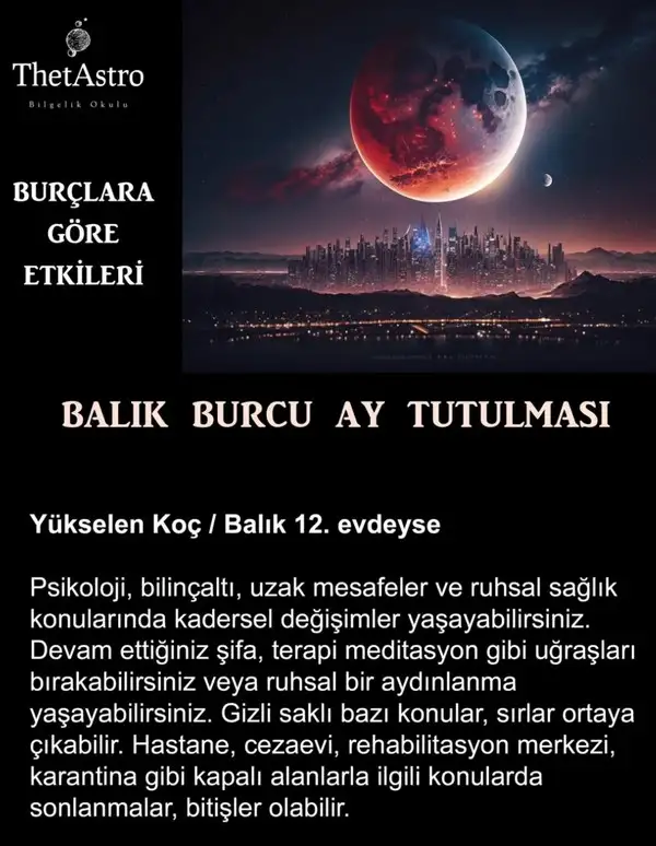7bal 8 (1).webp