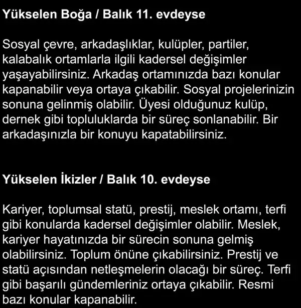 7bal 8 (2).webp