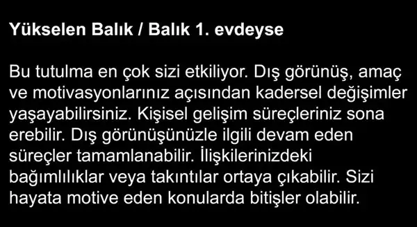 7bal 8 (7).webp