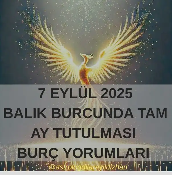 7bal 9 (1).webp