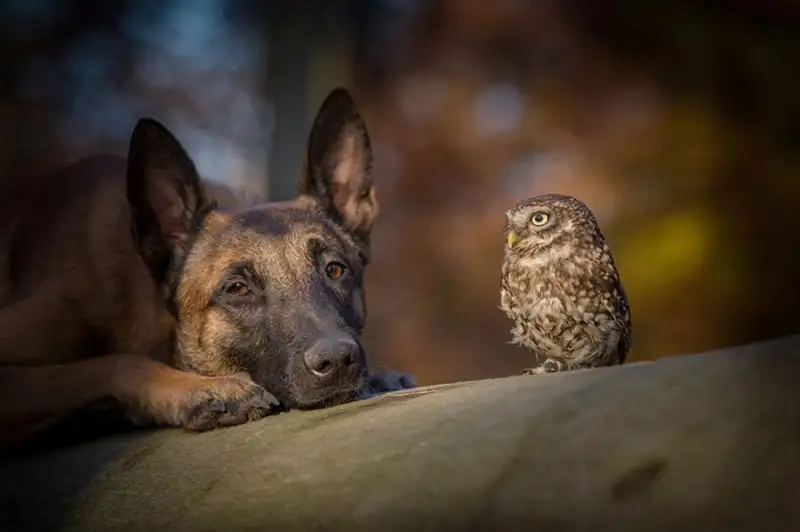 7c92630e15e54a8f9fe170495739f696.jpg.1000x0_q85_autocrop_crop-smart_upscale.webp