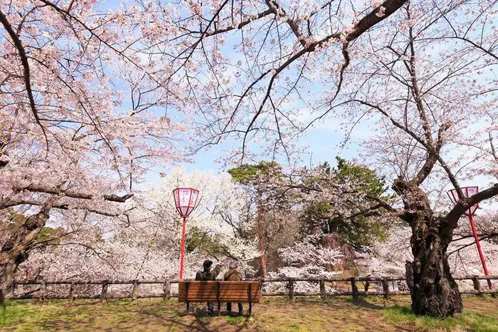 7cc9ca189a244a658761848aafaf8324.jpg.700x0_q85_autocrop_crop-smart_upscale.webp