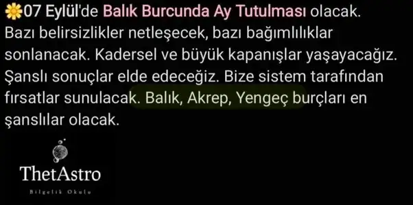 7ee.webp