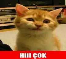 7f60cf40galatasarayin17de17yaparaksampiyonolmasi_952213.webp