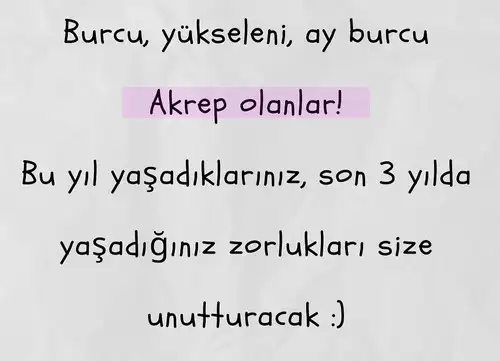 8 (3).webp
