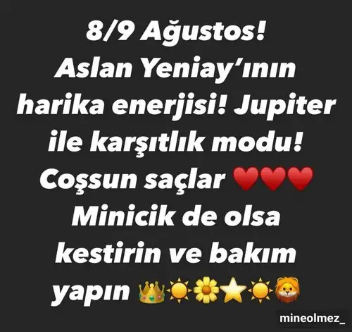 8 9 agustos aslan yeniayı.webp