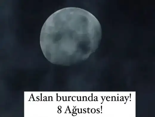 8 aygül yadn (1).webp