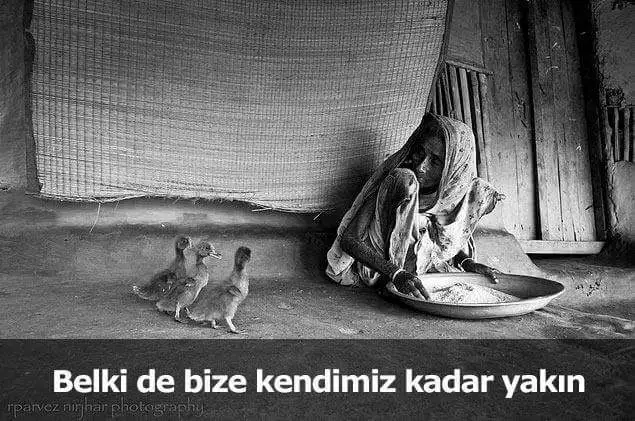 8.webp