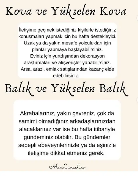 8.webp