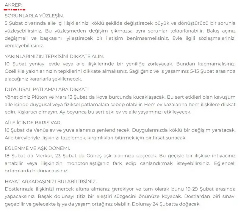 8.webp